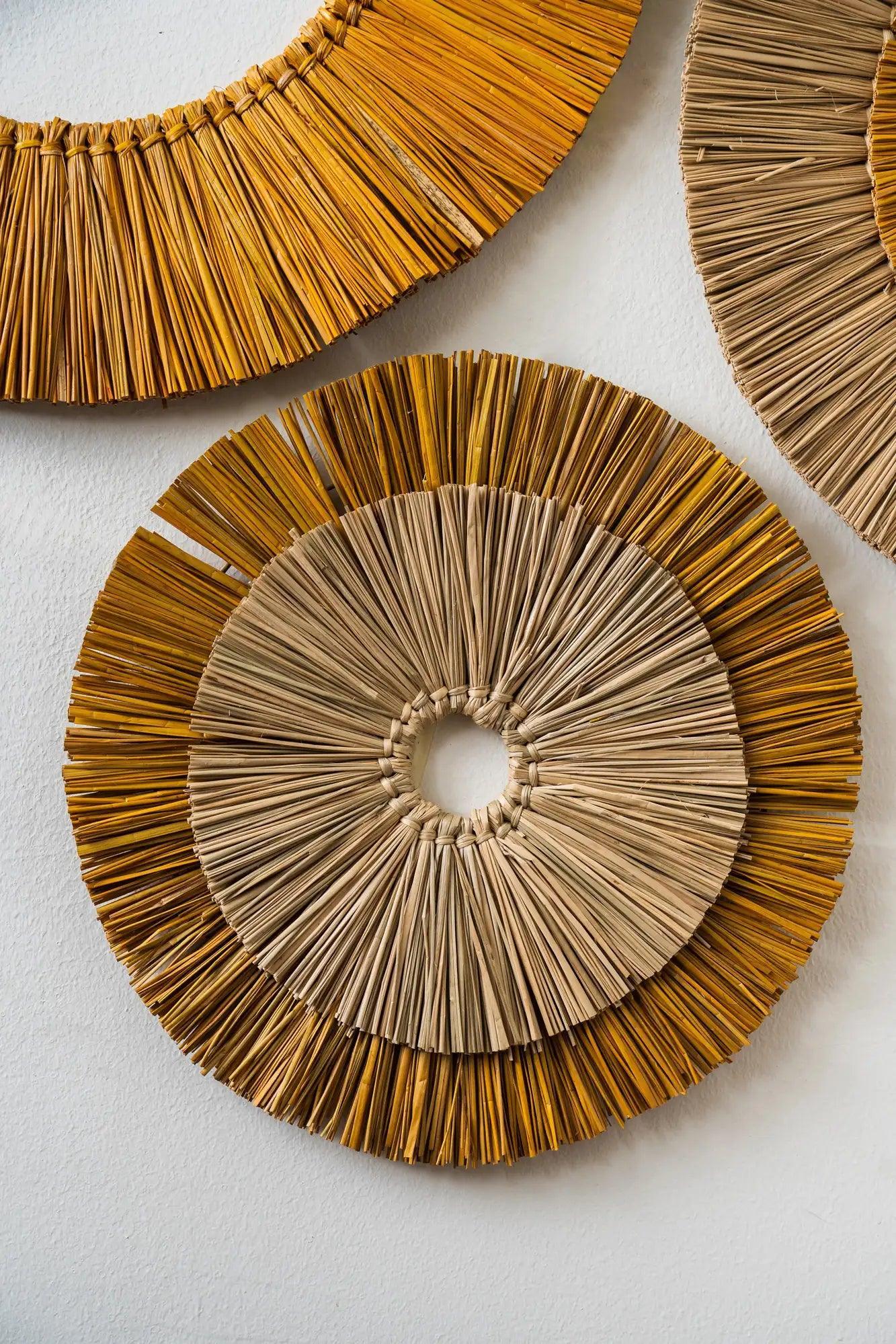 Buy Wall Art - Unique Sea Grass Wall Decor Set Of 3 | Brown Art Piece For Living Room & Bedroom by Tesu on IKIRU online store