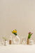 Buy Vase - White Farmhouse Vase White and Beige by Purezento on IKIRU online store
