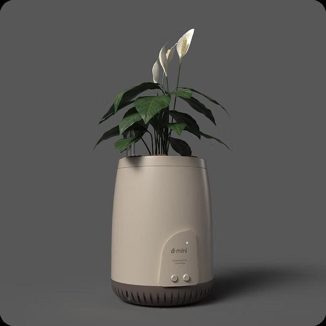 Mini Lite Planter | Compact Air Purifier & Portable Fresh Air System