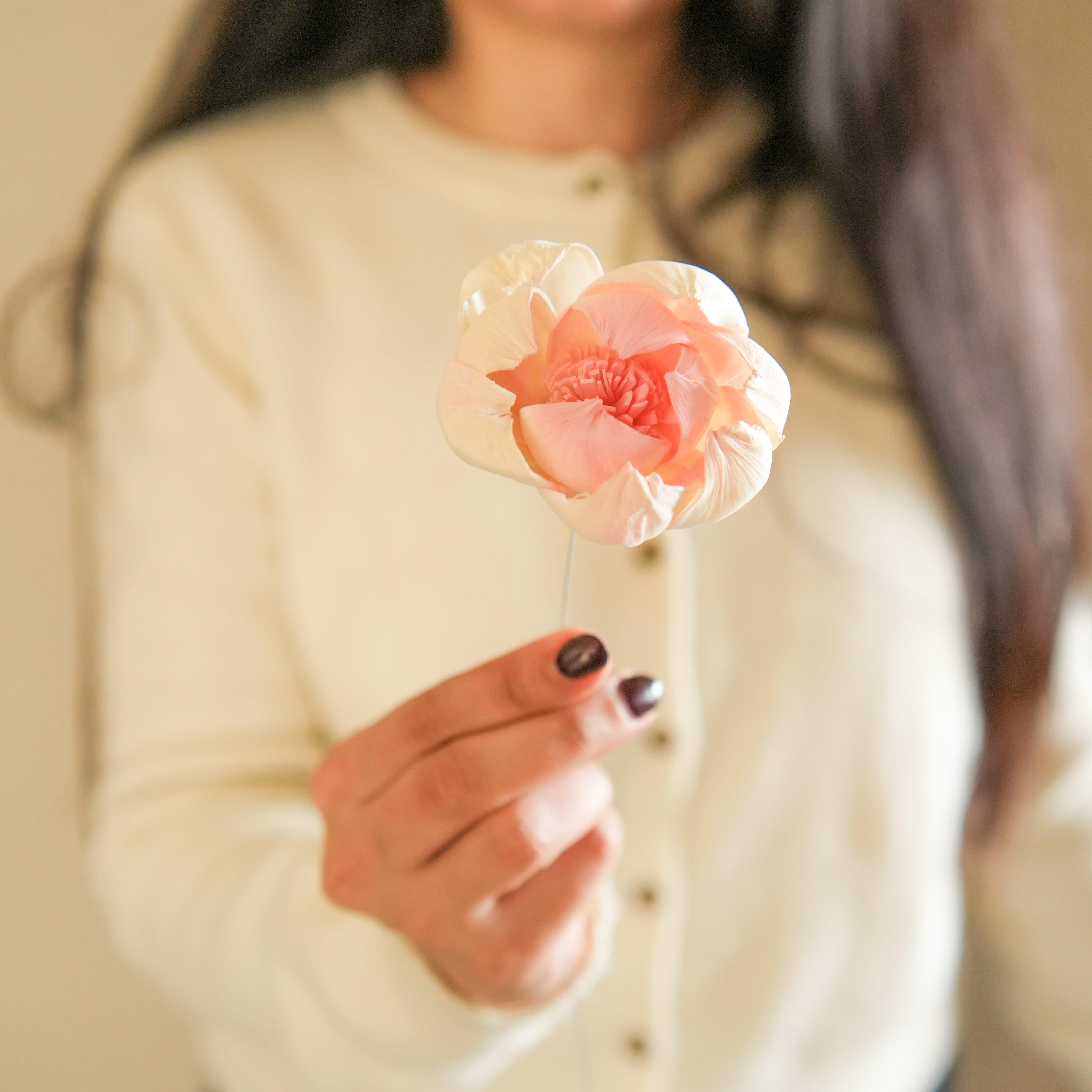 Dual Shade Sola Peony