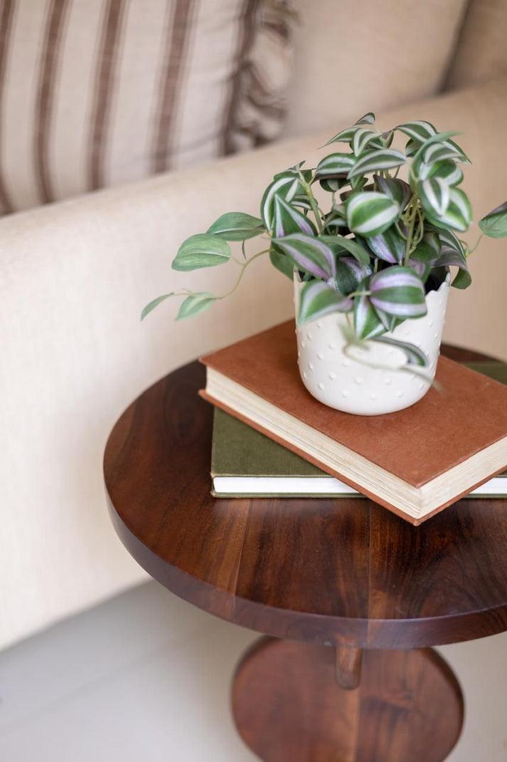 Titus Acacia Wood Sofa Side Table for Living Room | Premium End Table for Home