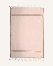 Clean Sweep Hand Towels