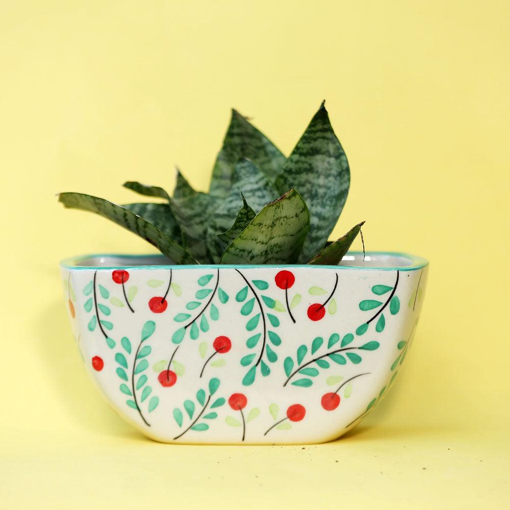 Cherry Merry Planter