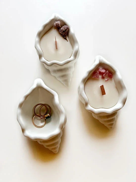 Shell Candle | Concrete , Soy Wax