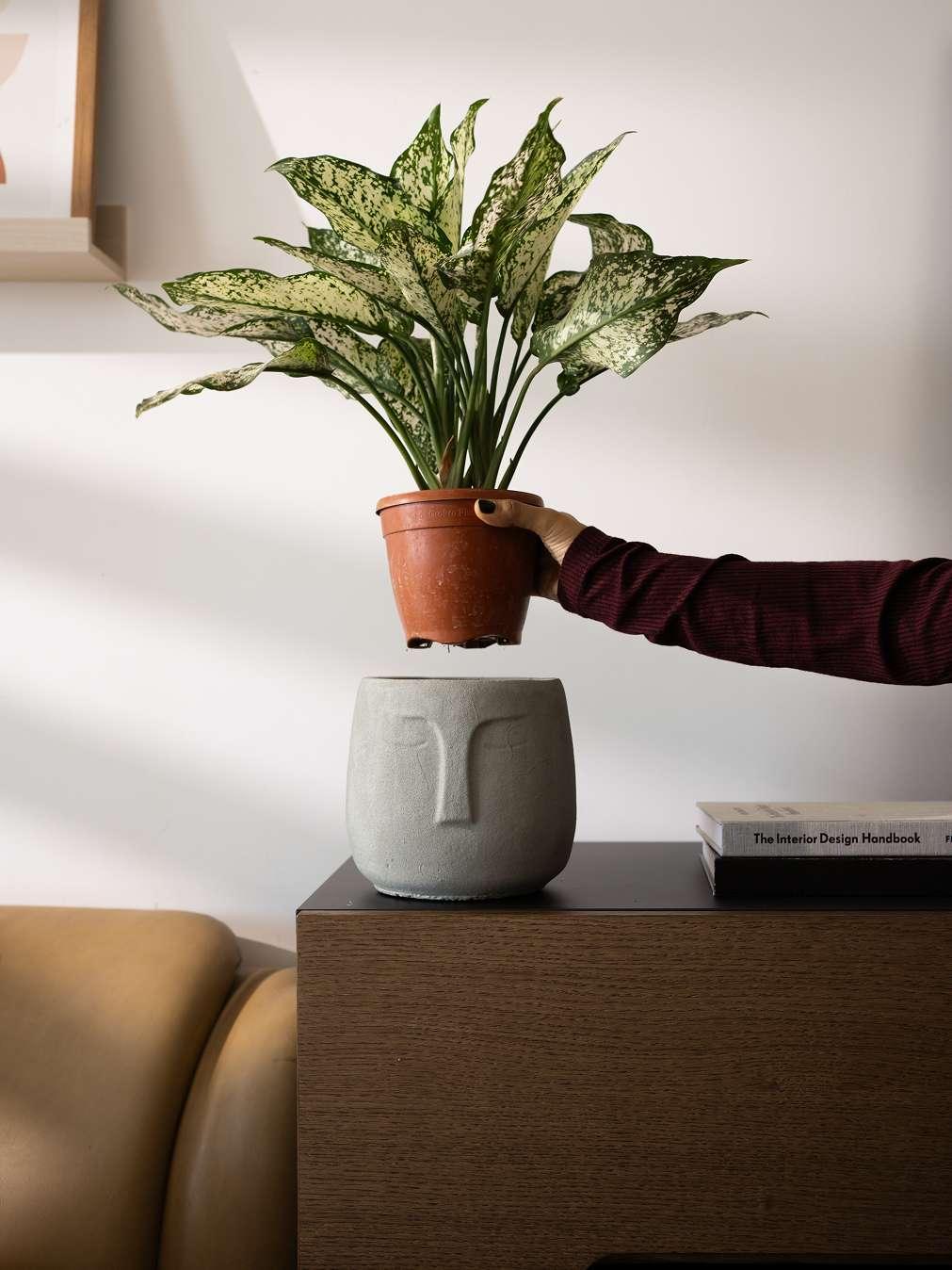 Face Concrete Planter for Living Room | Grey Modern Nordic Indoor & Outdoor Plant Pot