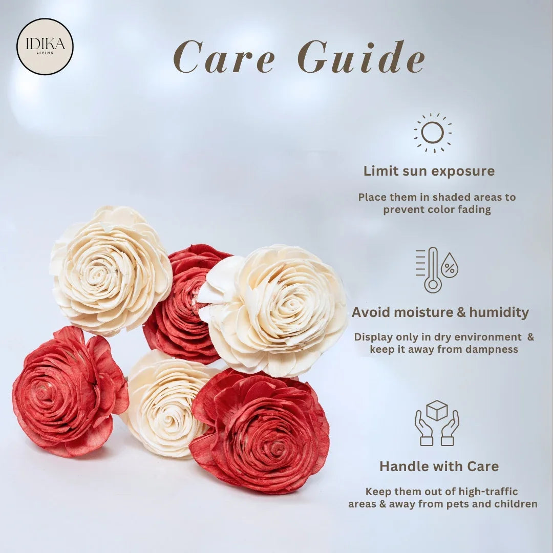 Beauty Rose - 8 cm | Red and White