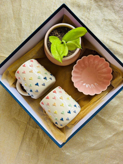 Hearts Cup Planter with Gift Box | Bowl & Planter for Gift Hamper