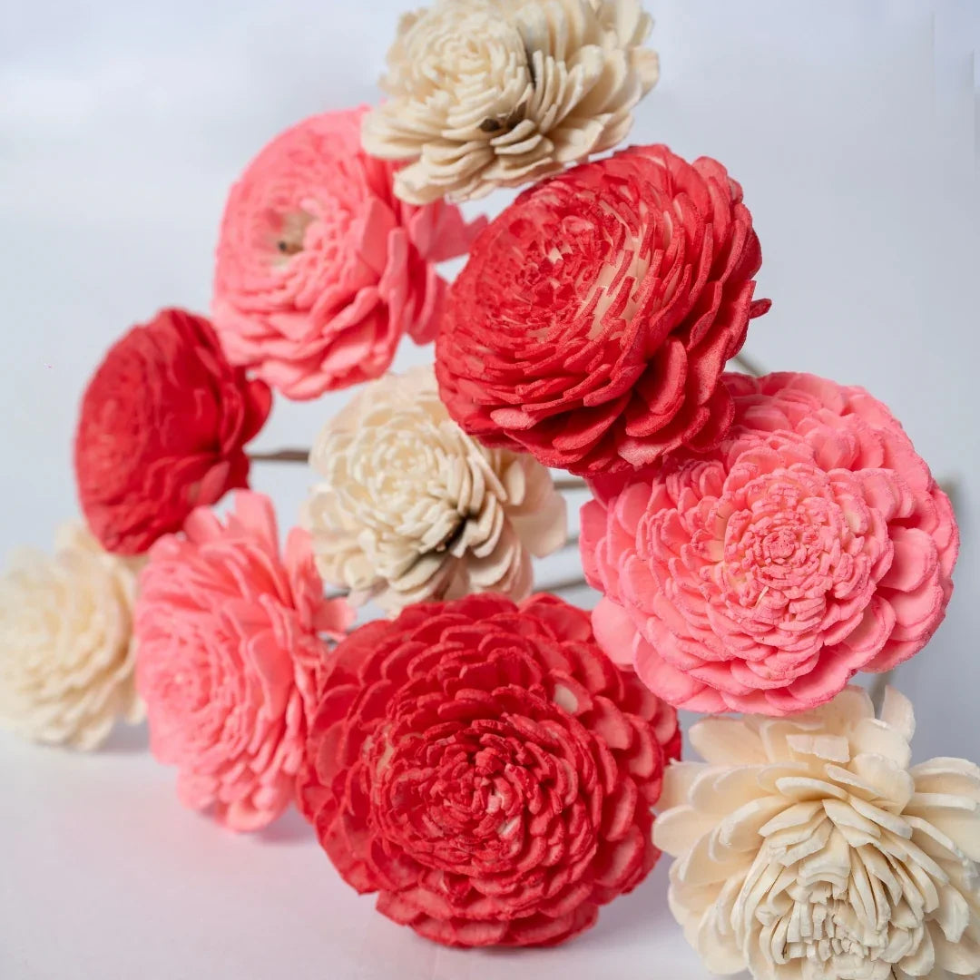 Bailey - 6 cm | Baby Pink, Pink and White