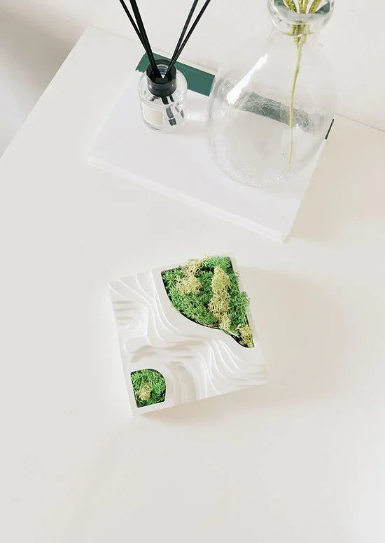 Architecture Planter | Concrete