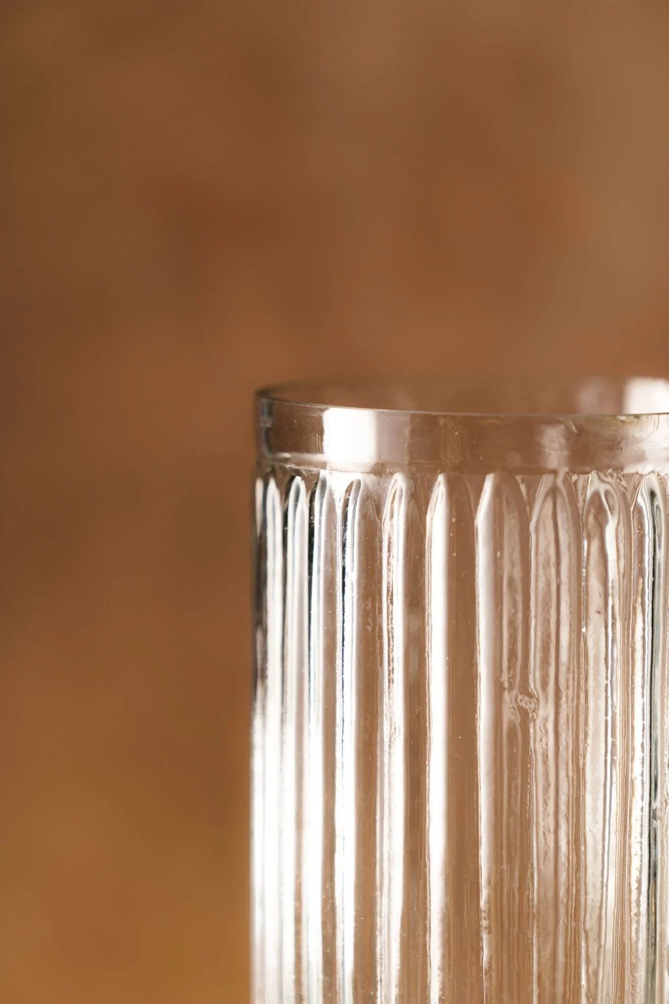 Glass Vase Set of 2 | Translucent Decorative Flower Vases for Living Room | Flower Pot