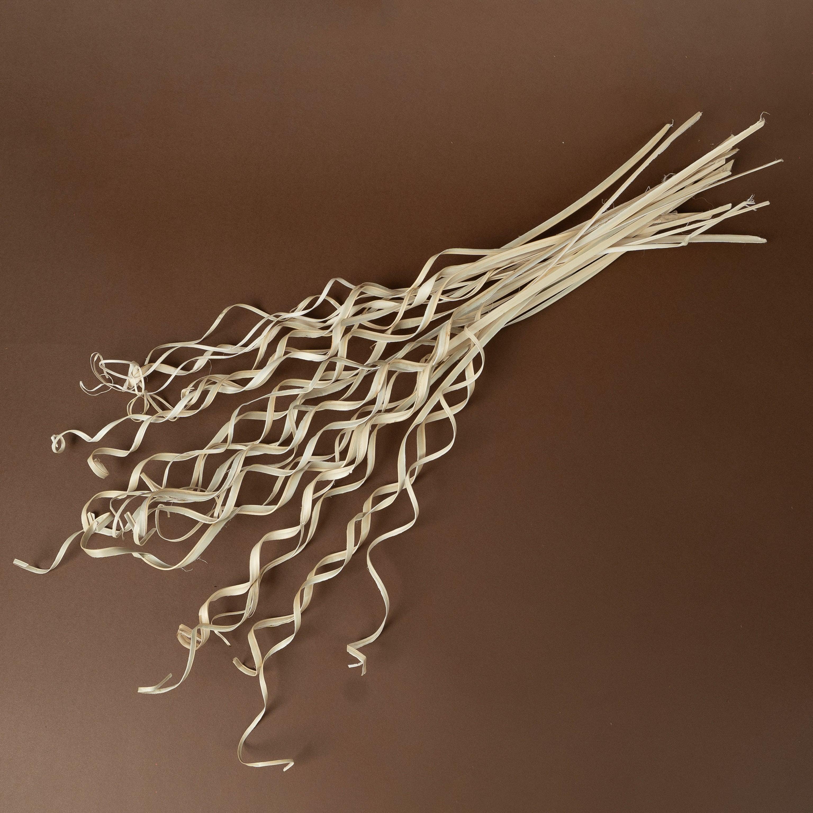 White Natural Dried Curly Palm Sticks | Set of 25 Dry Sticks Bunch for Vase Filler Home Decor