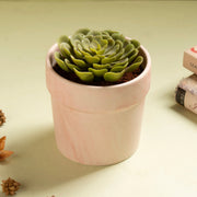 Dual Tone Ceramic Planter