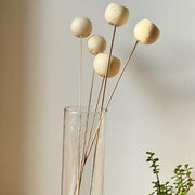 White Bell Cups Dried Flowers Stems | Vase Fillers | Sustainable Home Decor Set of 5 Sticks