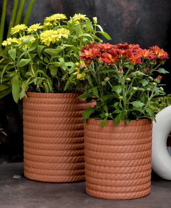 Zig Zag Planter Set [ Large And Small]