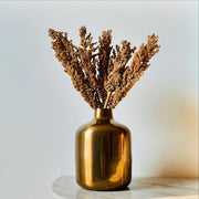 Corn Stems - Natural | Set of 5 Sticks