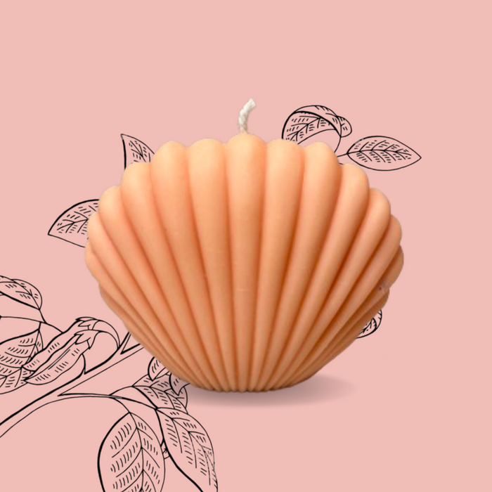 Sea Shell Soy Wax Candle