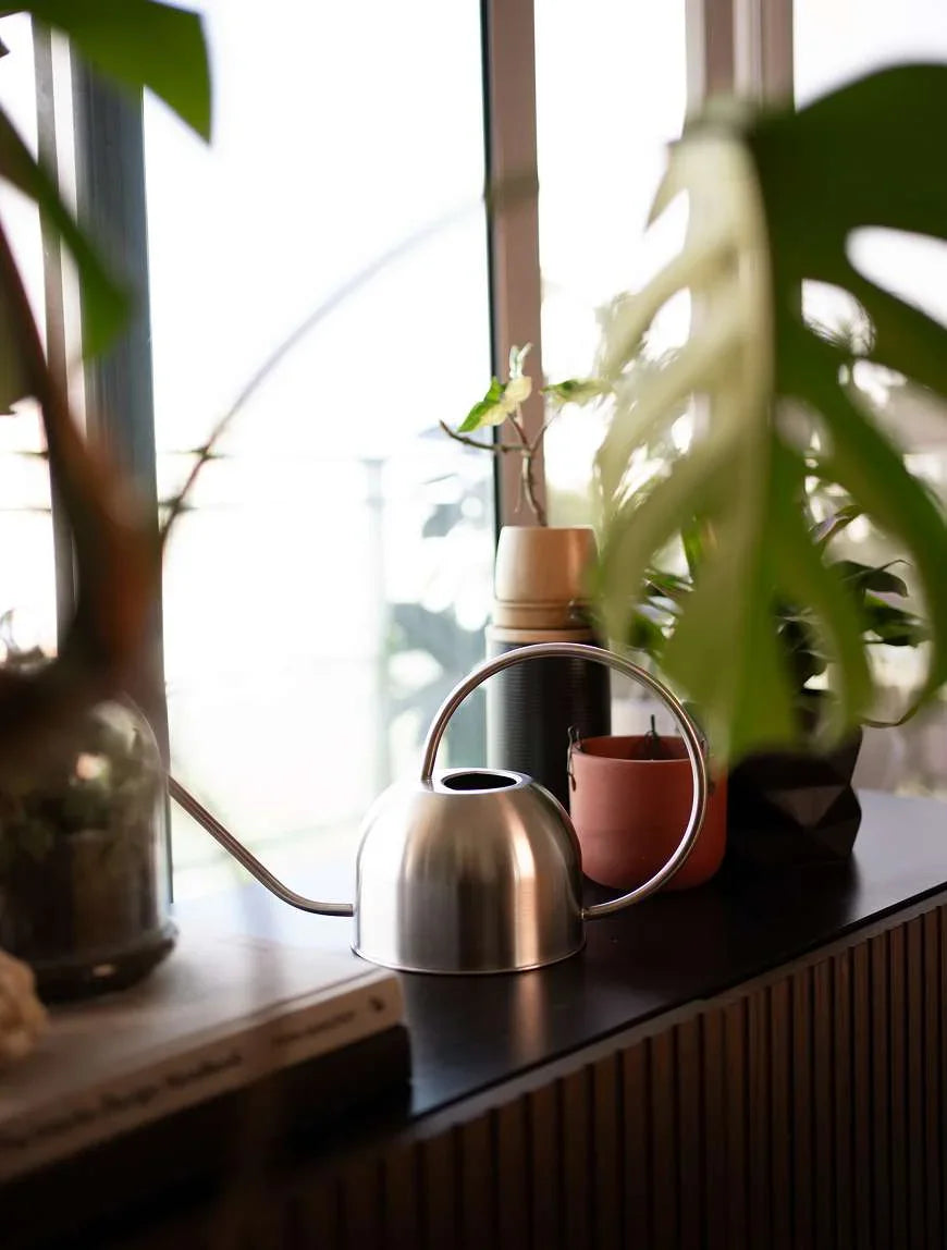 Stainless Steel Watering Can 1.2L | Garden Sprinkler Can Indoor & Outdoor Plant Care