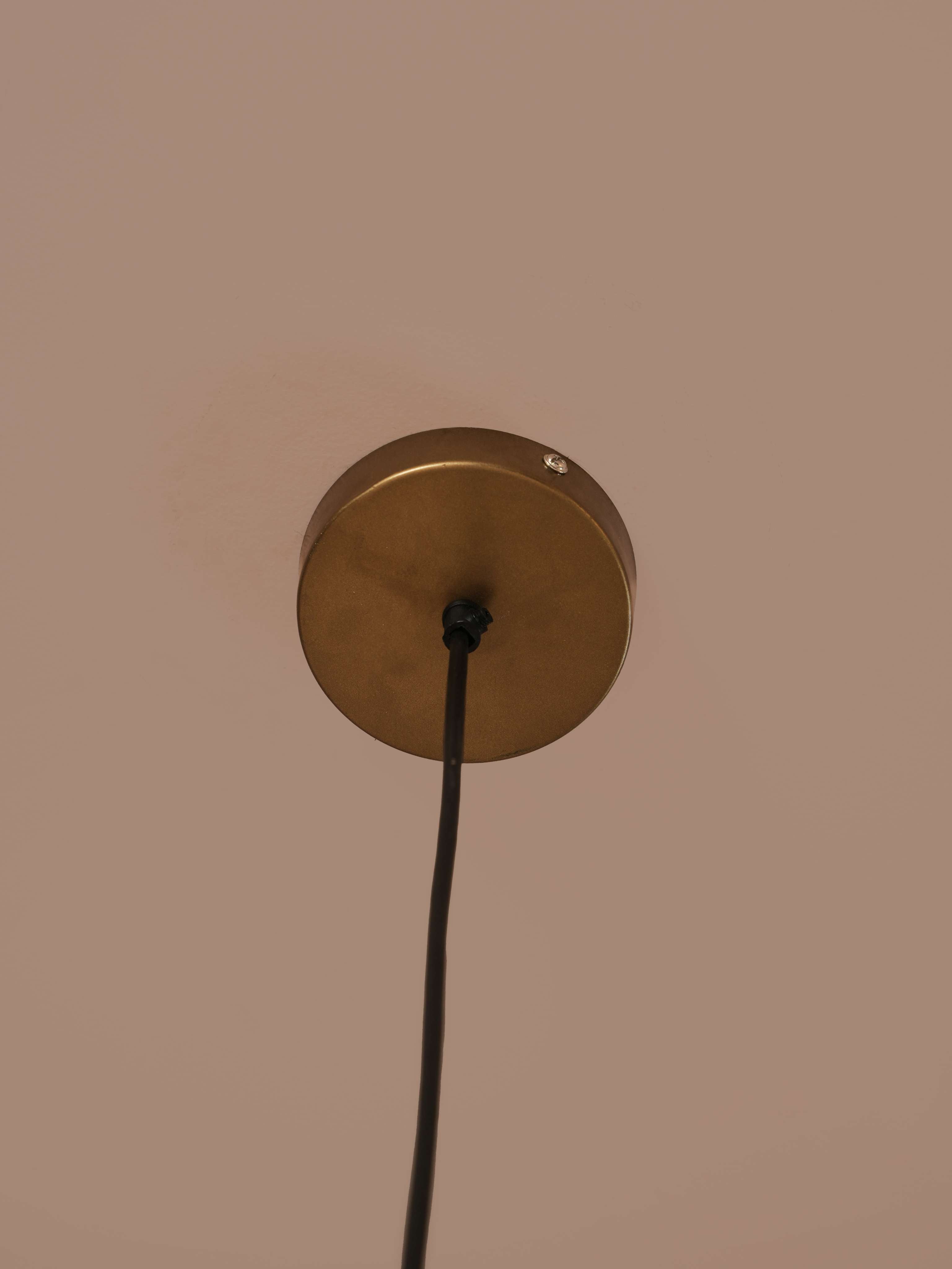 Reverie Single Hanging Lamp