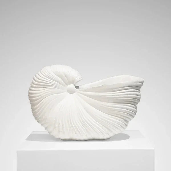 Aurelis - Nautilus Shell Ceramic Planter