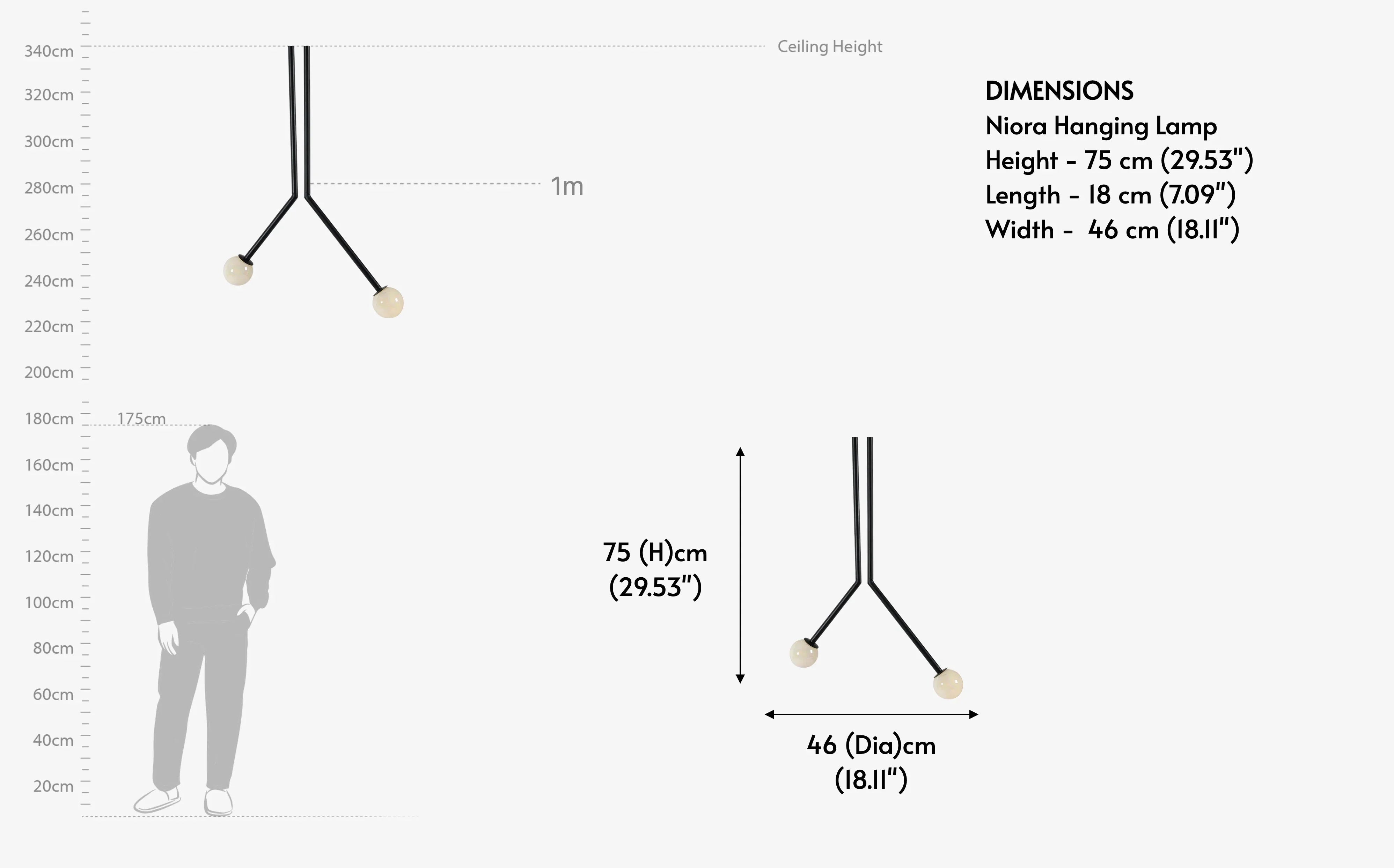 Niora Hanging Lamp | Mild Steel and Glass