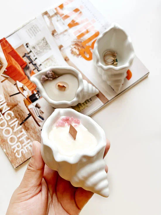 Shell Candle | Concrete , Soy Wax
