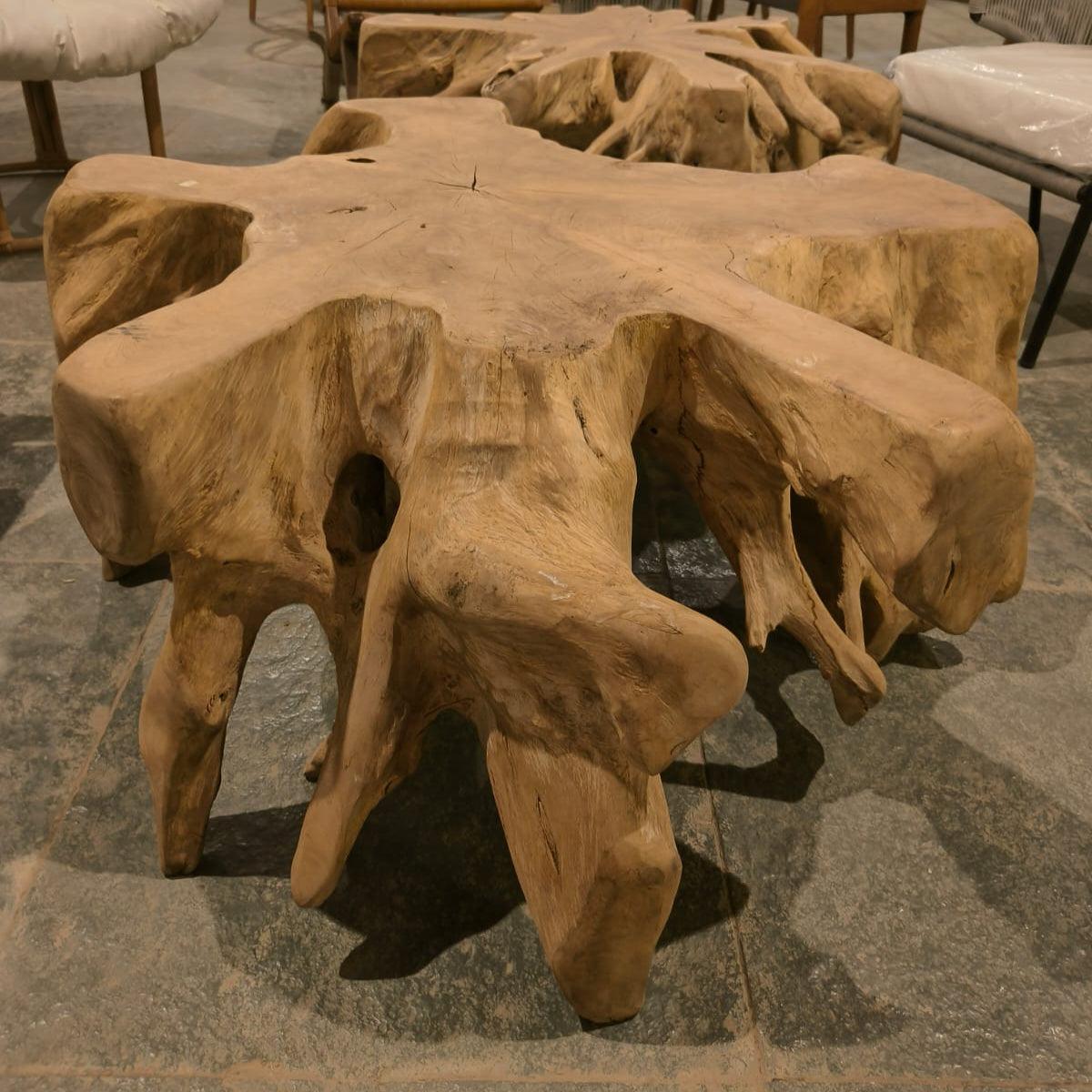 Botanical Bliss Root Coffee Table | Designer Tea Table | Wooden Center Table for Living Room