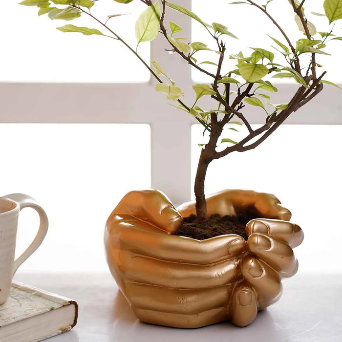 Gold Hand Planter For Home Decor | Pot For Plants