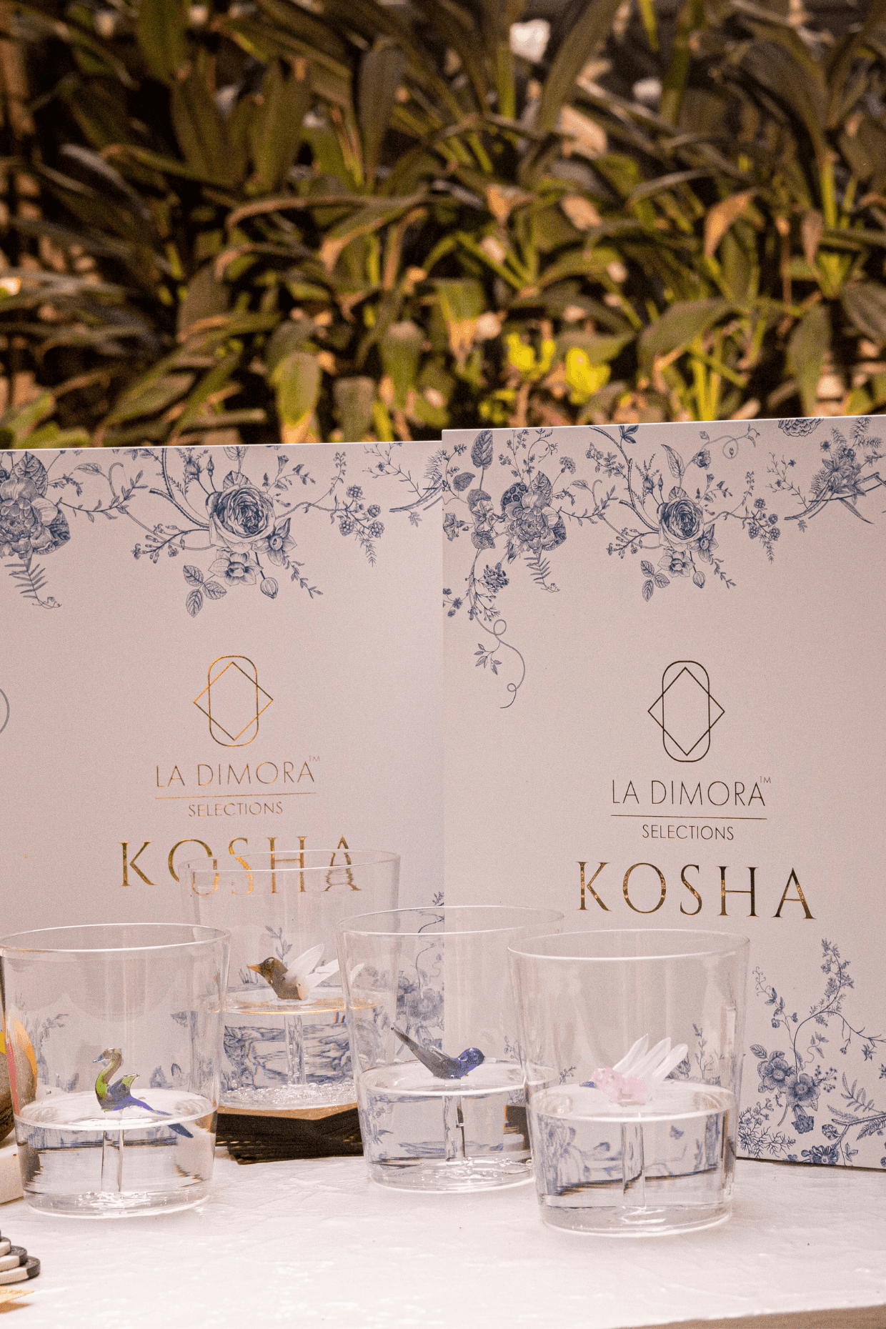 Wren Glass Ware for Serving Guest | Stylish Drinking Glass for Gifting