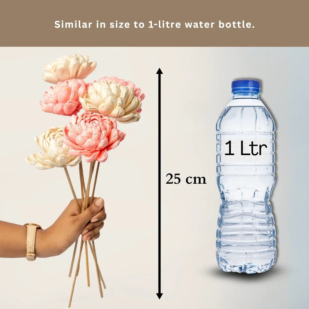 Twisted 8 Cm | Baby Pink and White