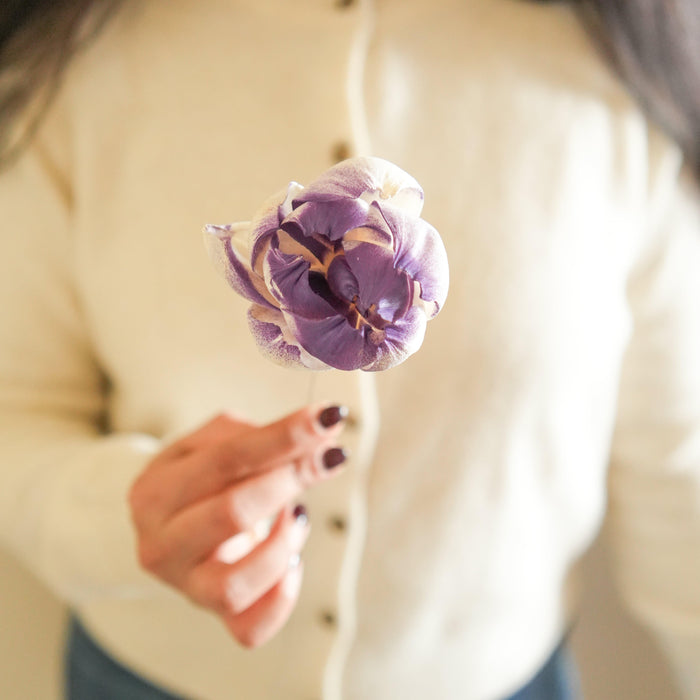 Dual Shade Sola Peony