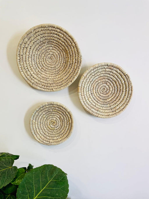 Buy Wall Art - Traditional Handwoven Plates Set Of 3 | Decorative Palm Leaf Wall Decor Piece For Home by Tesu on IKIRU online store