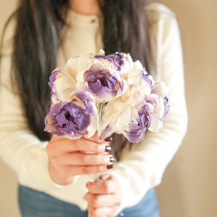 Dual Shade Sola Peony