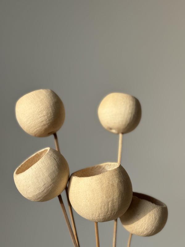 White Bell Cups Dried Flowers Stems | Vase Fillers | Sustainable Home Decor Set of 5 Sticks