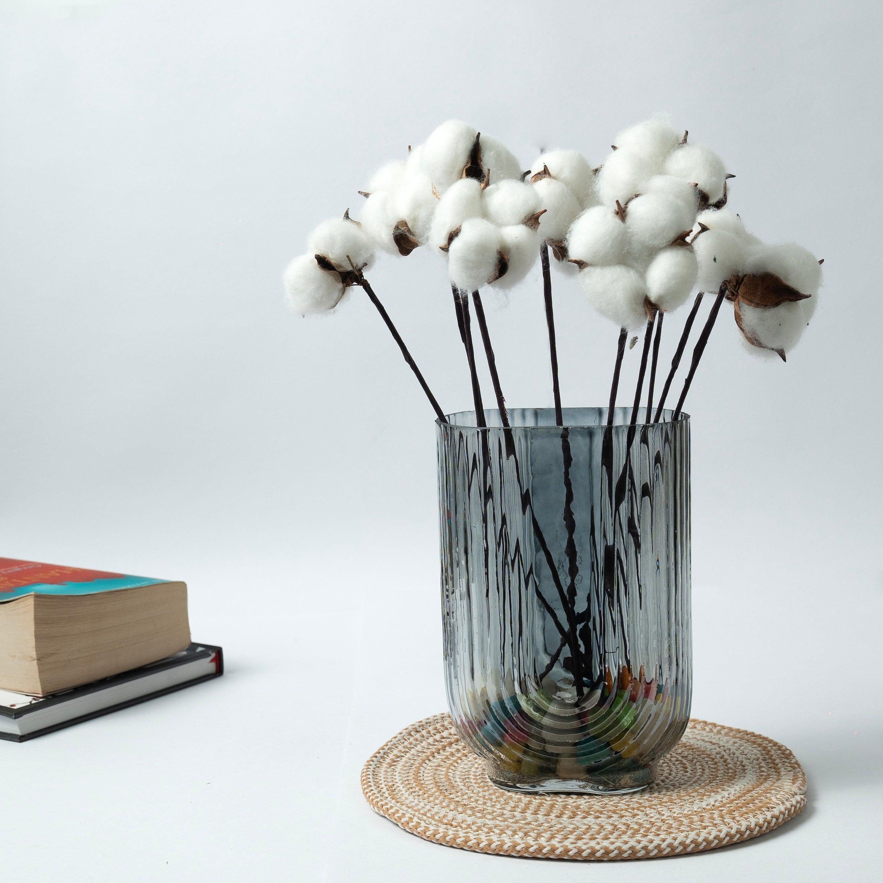 Dried Cotton Stems | White |10 Pcs Sticks