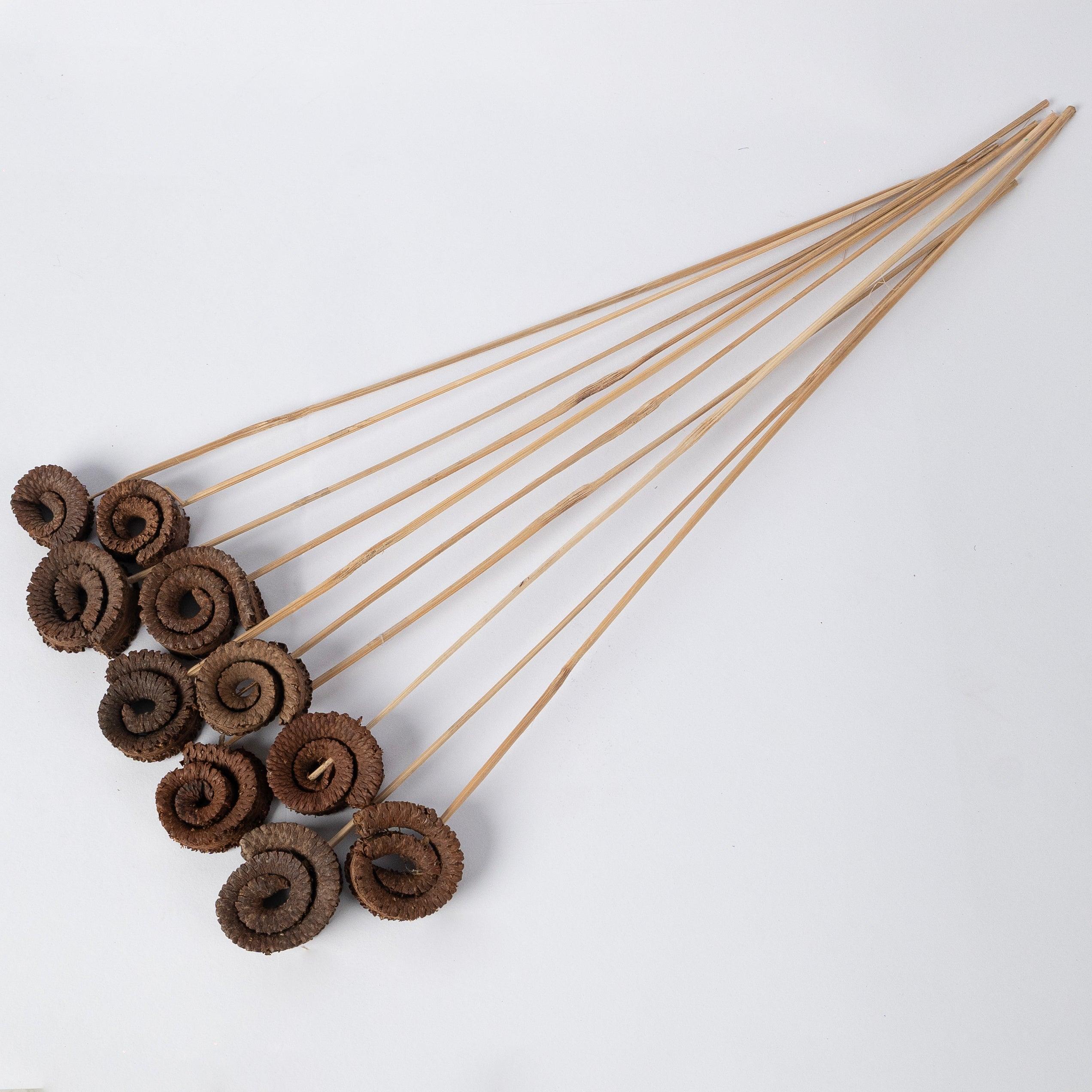 Dried Palm Ring | Natural