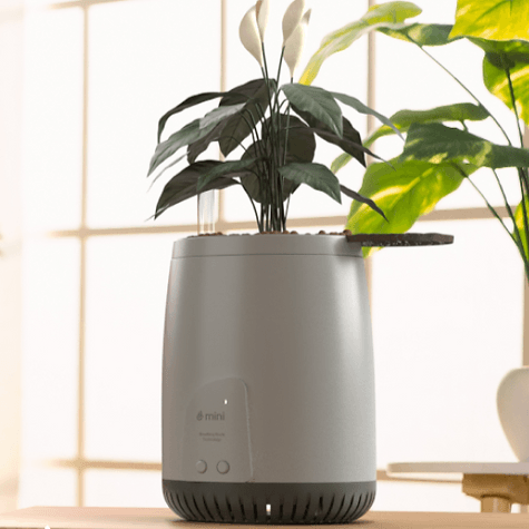Mini Lite Planter | Compact Air Purifier & Portable Fresh Air System