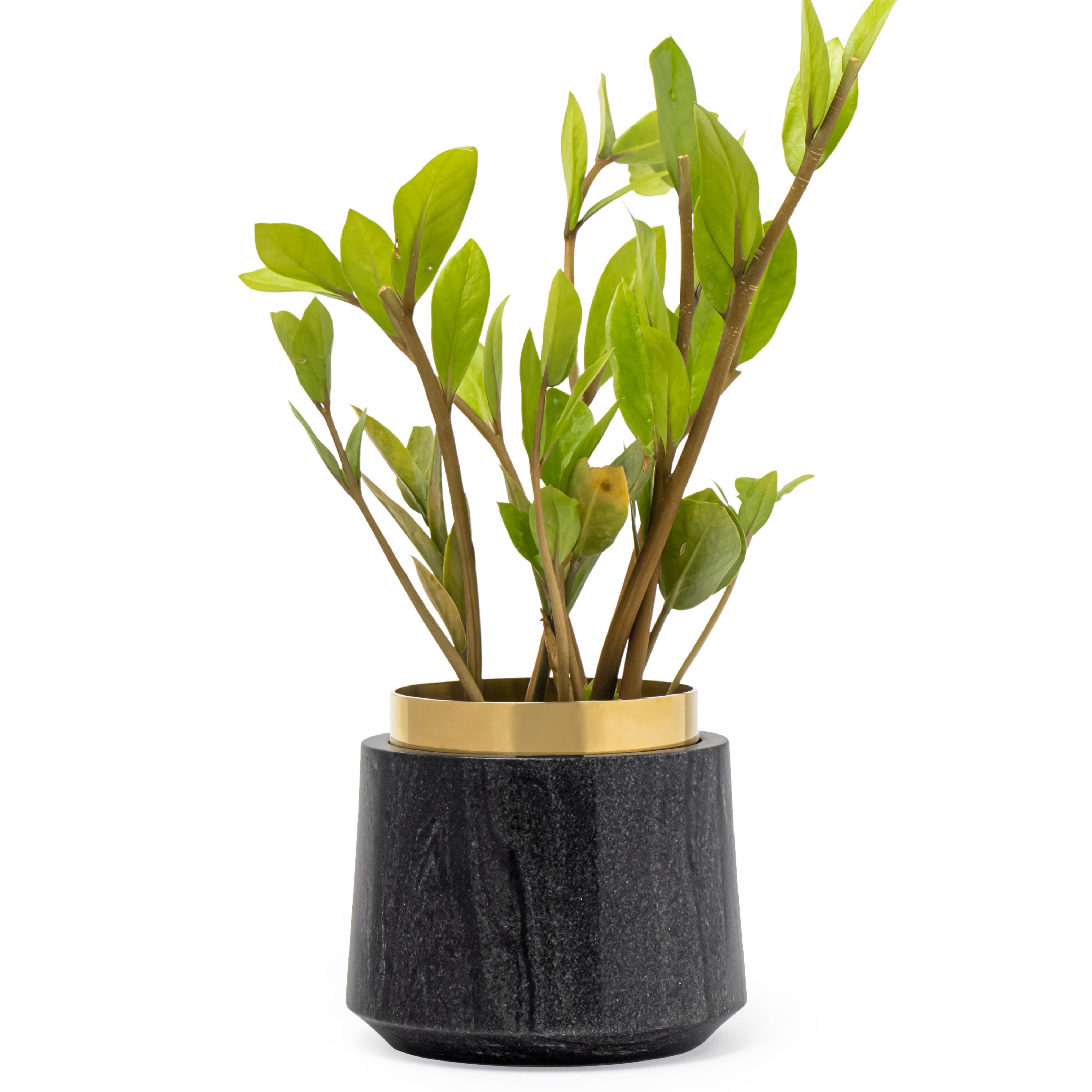 Oronoir Planter