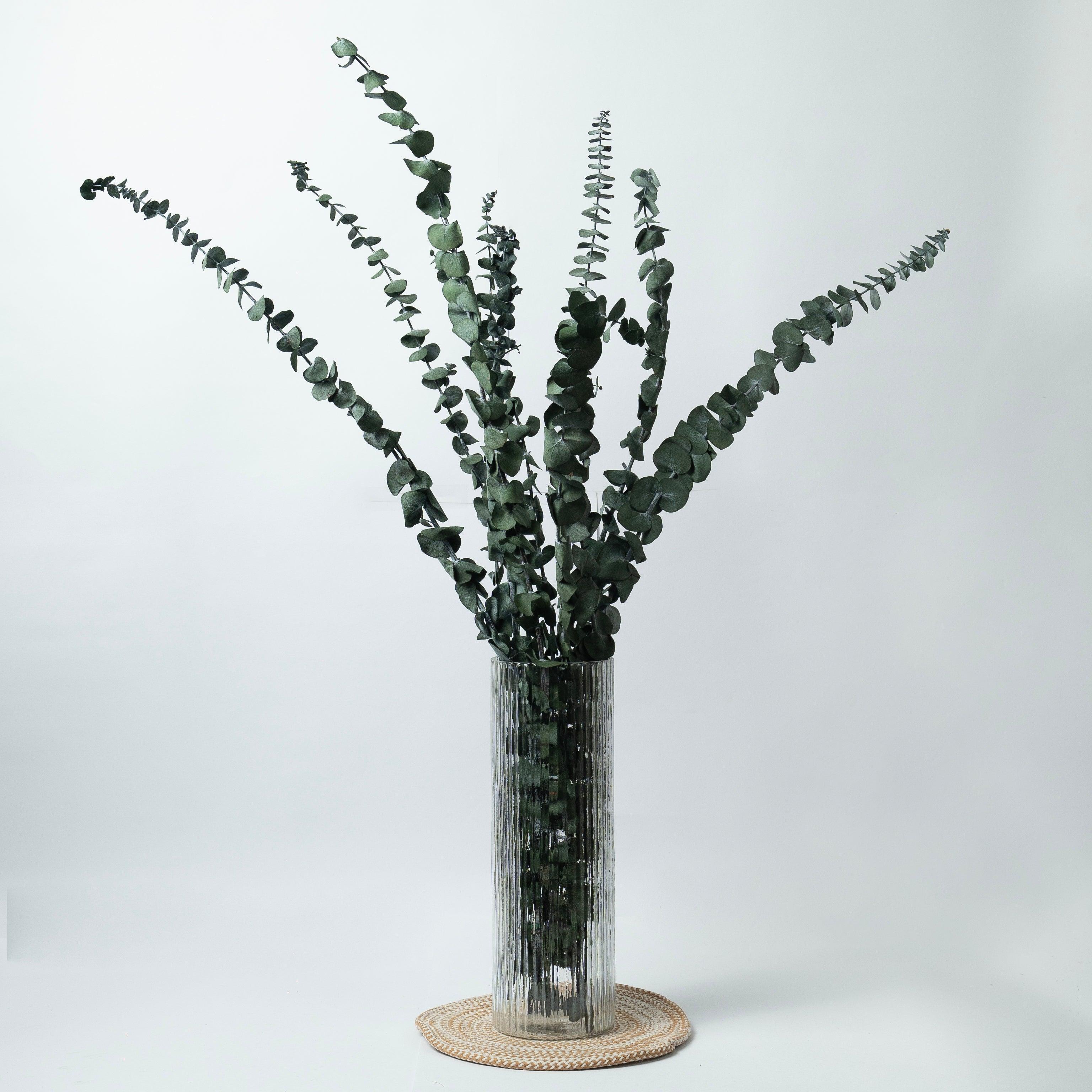 Dried Eucaplytptus | 10 Pcs Sticks