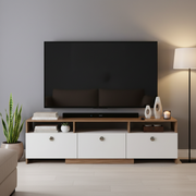 TV Unit for 65 Inch TV with Storage - Mansor
