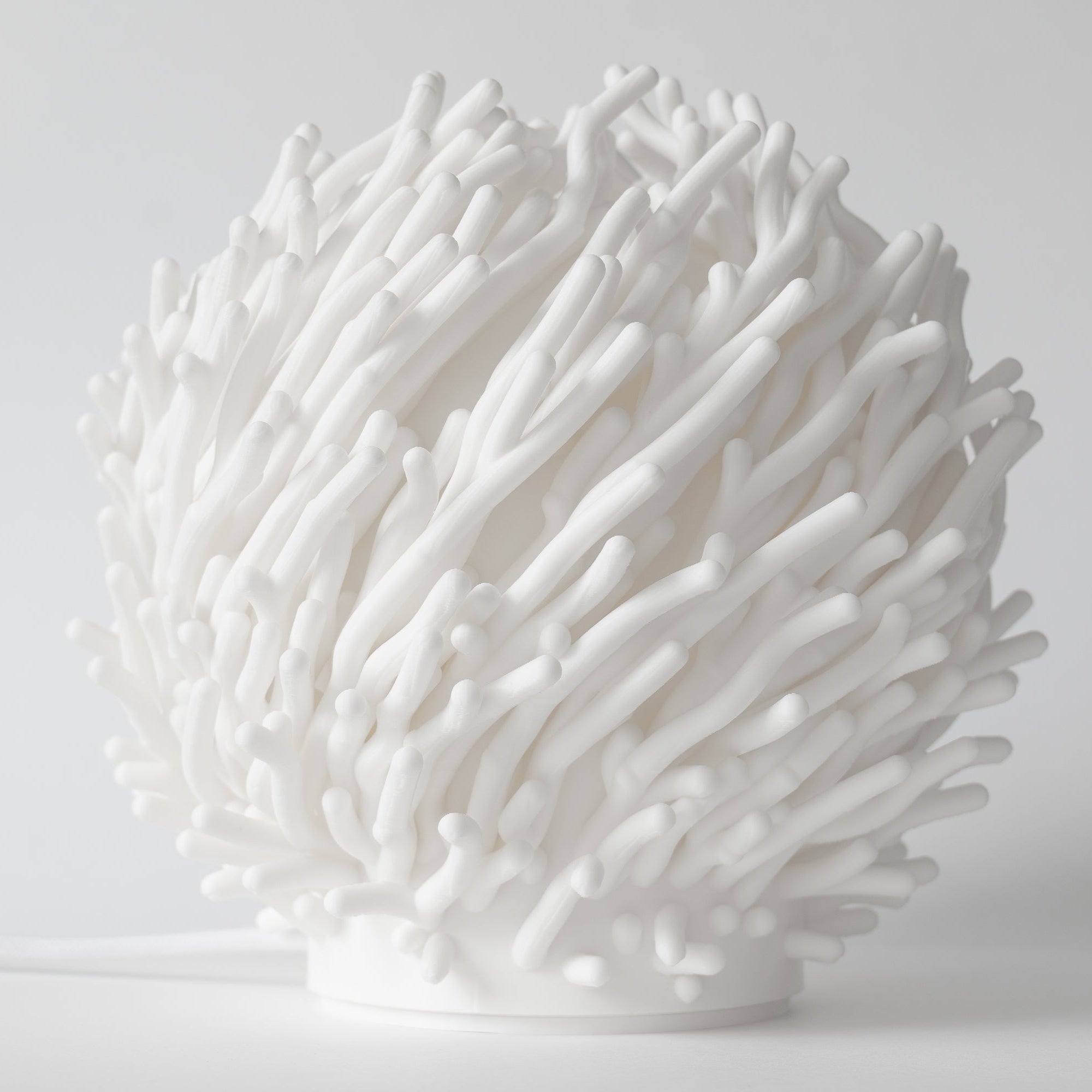 Coral Sculpted Lamp
