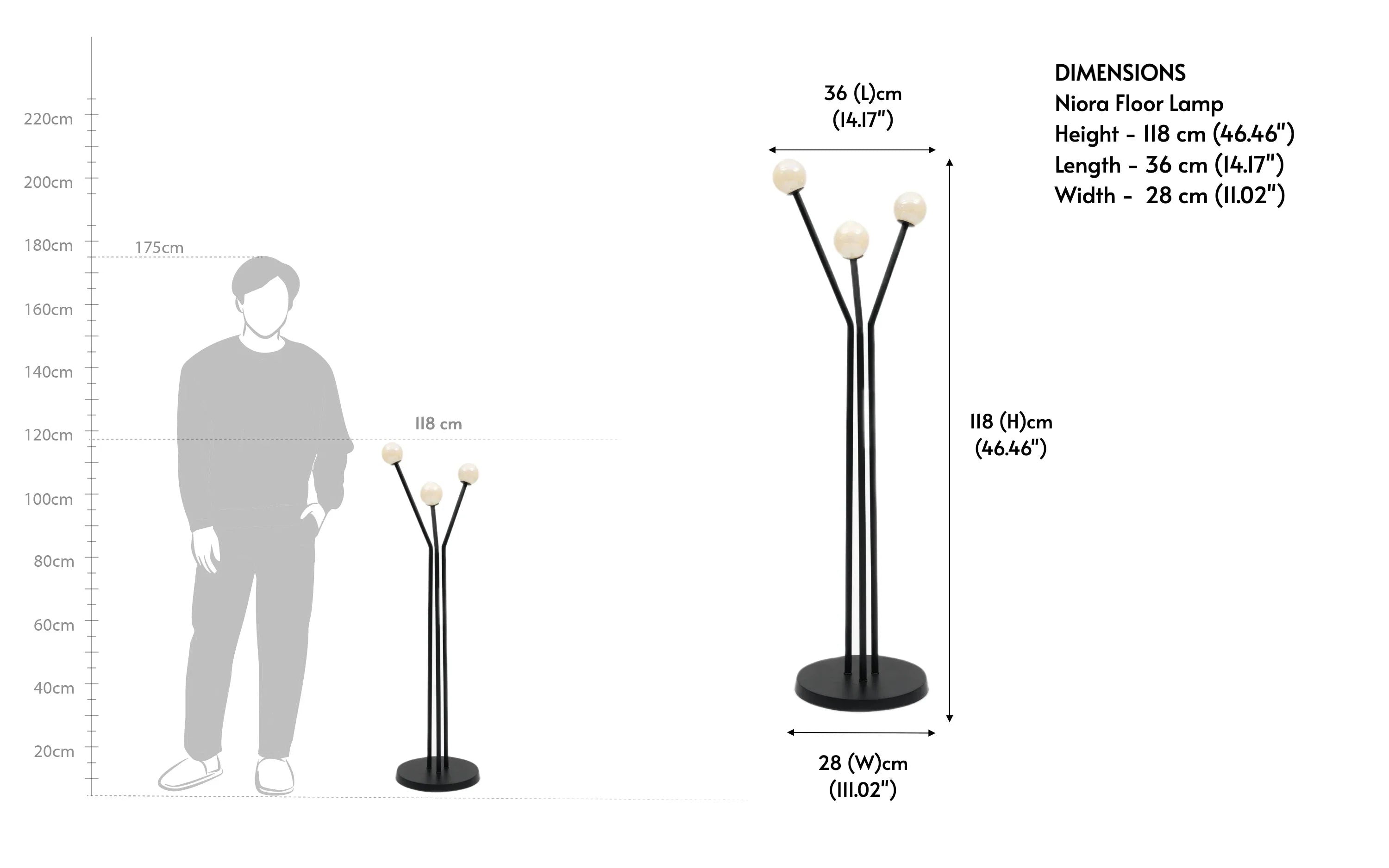 Niora Floor Lamp | Mild Steel and Glass