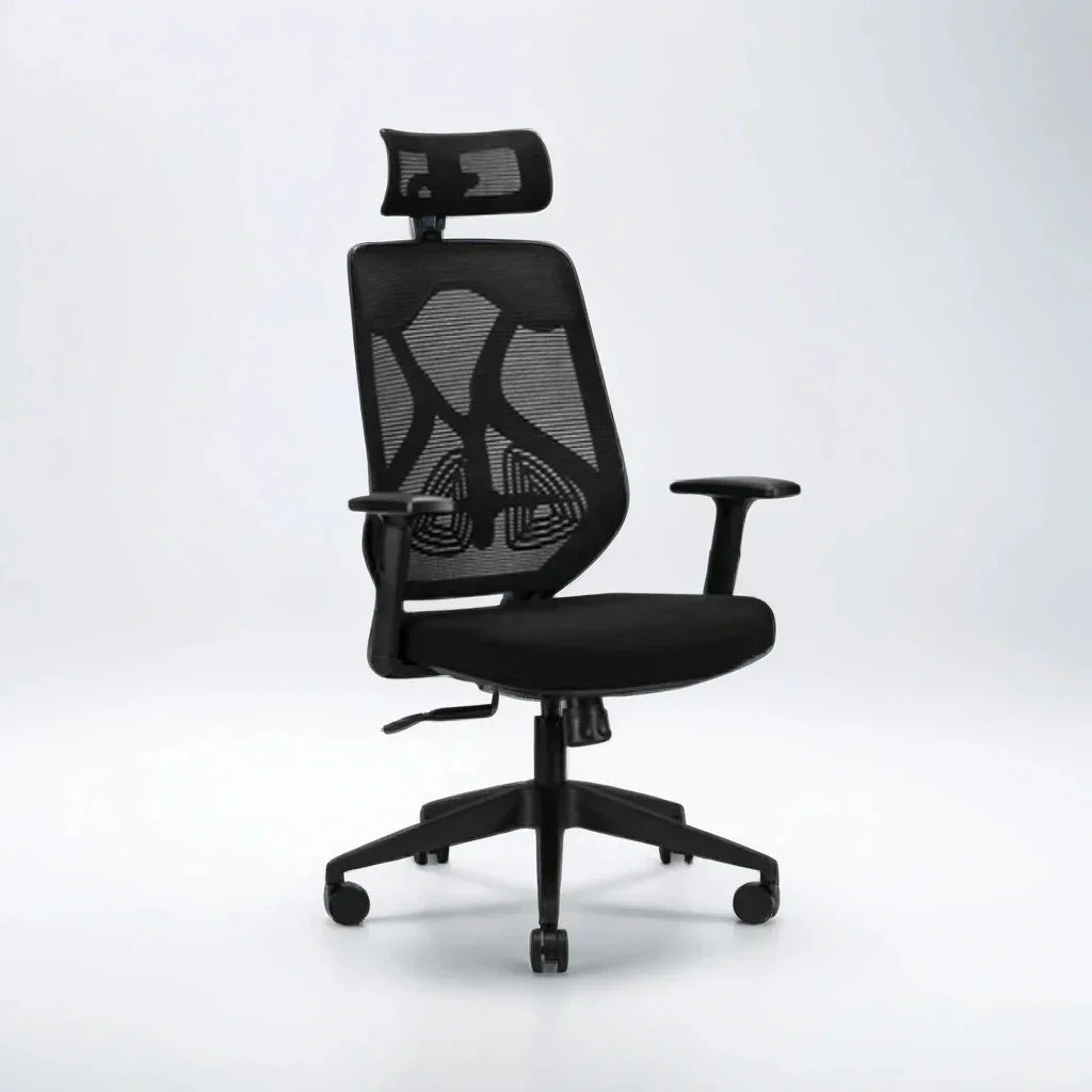 Black Ergolux High Back Ergonomic Office Chair | Adjustable Lumbar Support & Headrest
