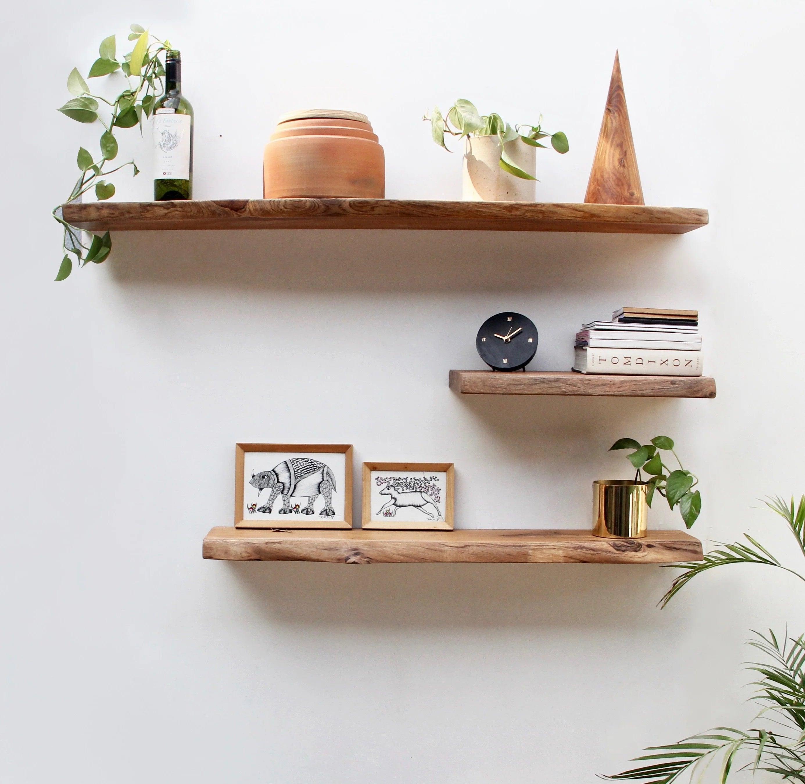 Organic Shelves Set of 3  for Home Decor | Floating Wall Racks