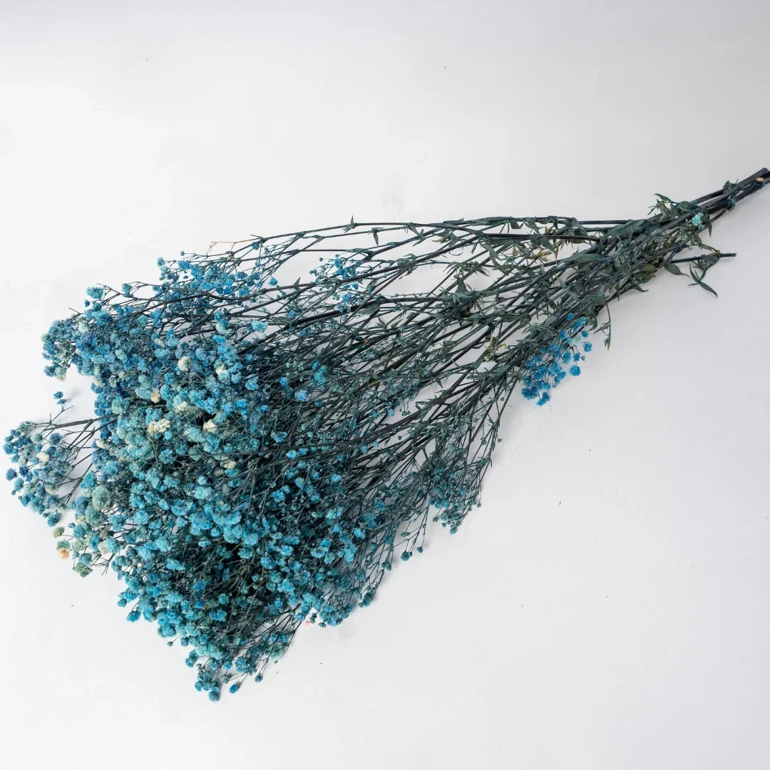 Preserved Baby's Breath