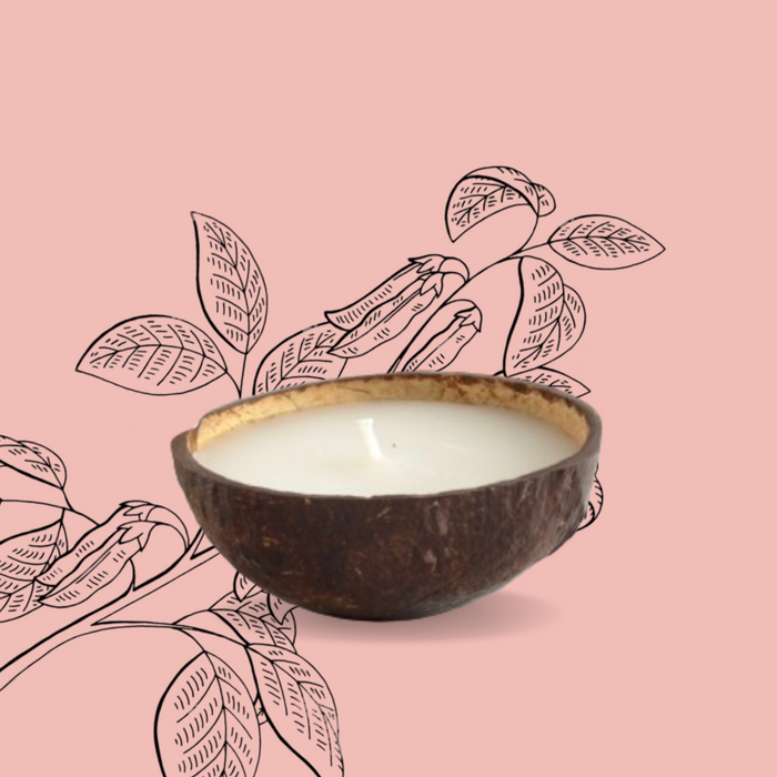 Coconut Shell Soy And Coconut Wax Candle