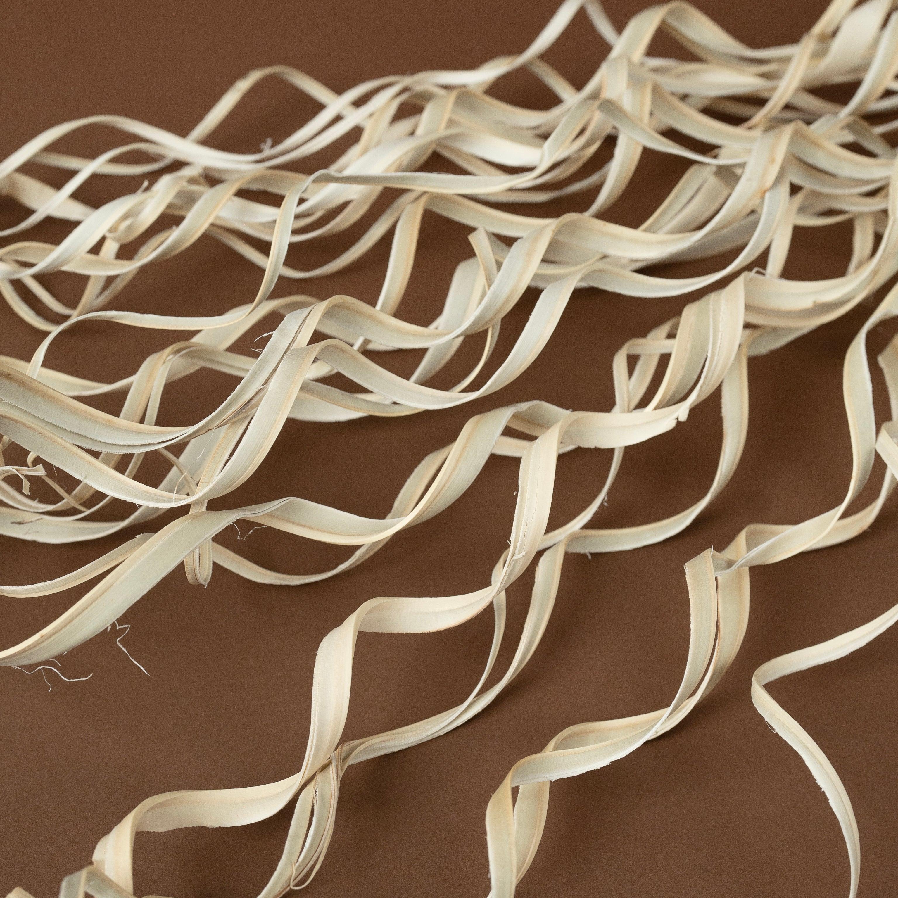 White Natural Dried Curly Palm Sticks | Set of 25 Dry Sticks Bunch for Vase Filler Home Decor