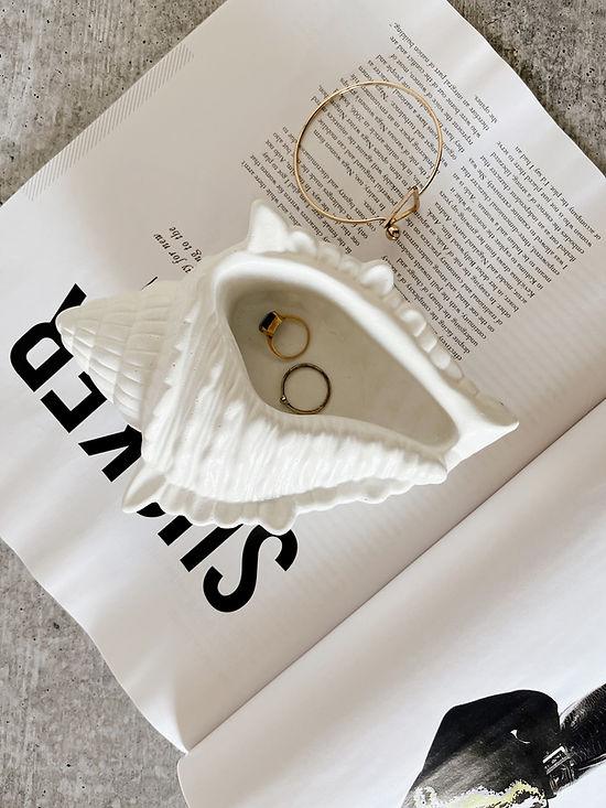 Concrete Conch | Concrete