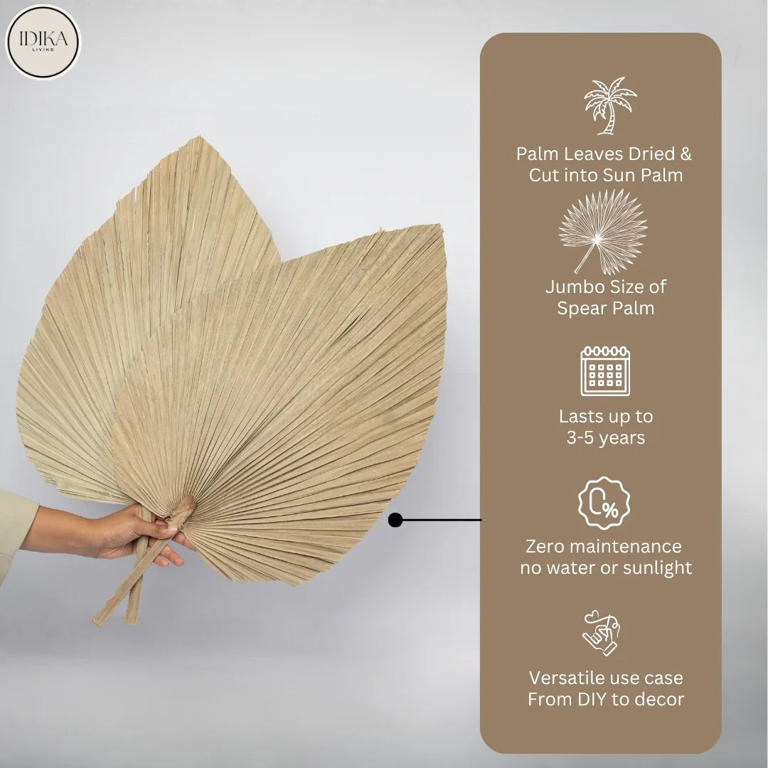 Jumbo Spear Palm | Natural