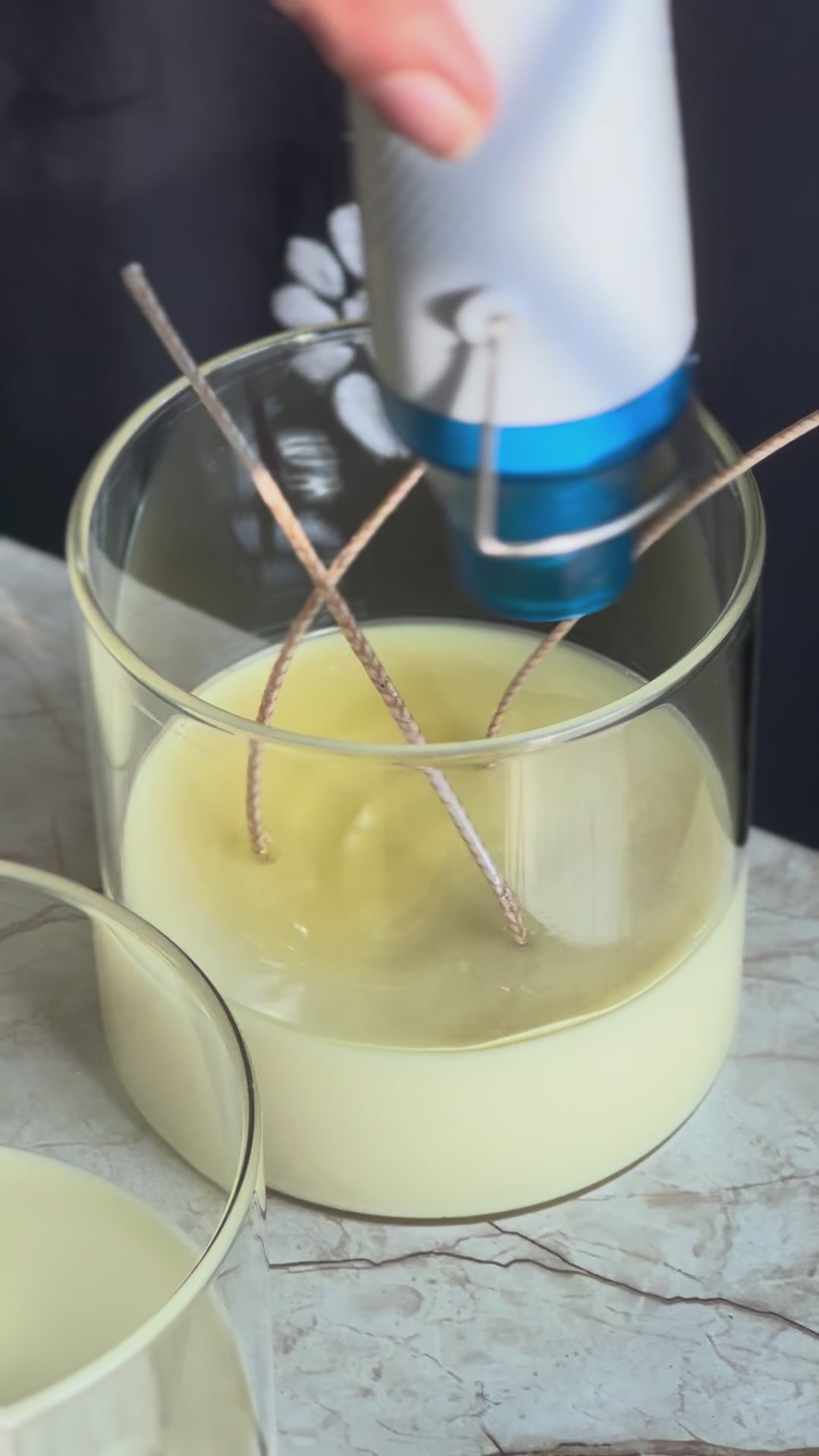 Load video: Succulent  Garden Candle