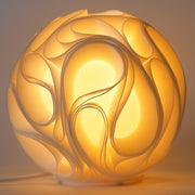 Gravity Sculpted Lamp